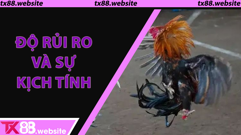 Độ rủi ro và sự kịch tính