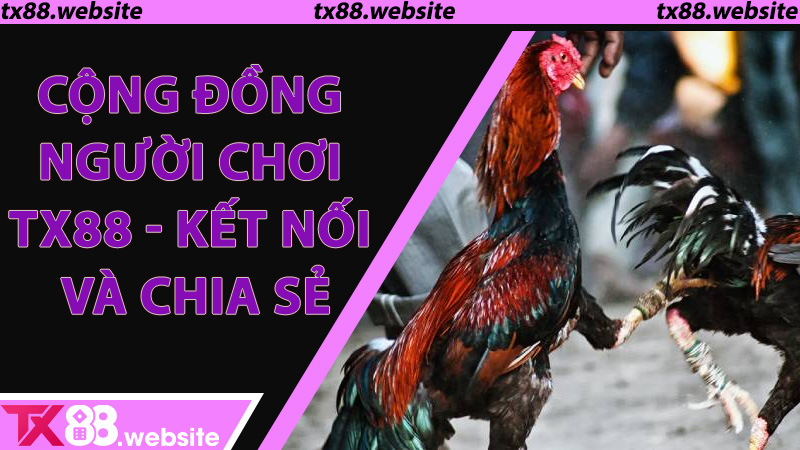 Cộng đồng người chơi TX88 - Kết nối và chia sẻ