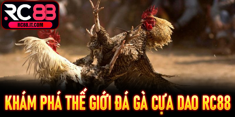 Khám phá thế giới Đá Gà Cựa Dao RC88 đầy kịch tính