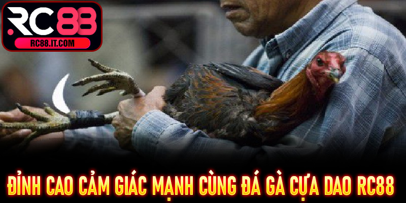 Đỉnh cao cảm giác mạnh cùng Đá Gà Cựa Dao RC88