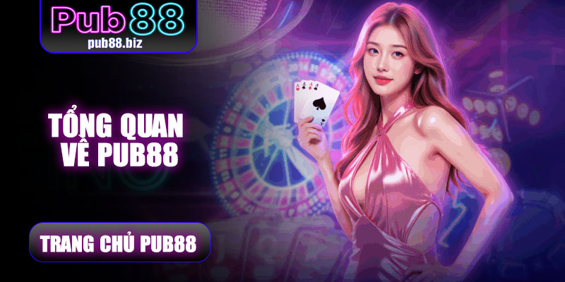 Tổng quan về Pub88