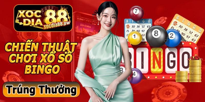 Chiến Thuật Chơi Xổ Số Bingo Hiệu Quả