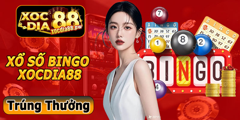 Xổ Số Bingo Xocdia88 – Trúng Thưởng Liền Tay, Hồi Hộp Từng Giây